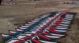 Our kites